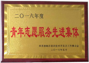 青年志愿服務先進集體